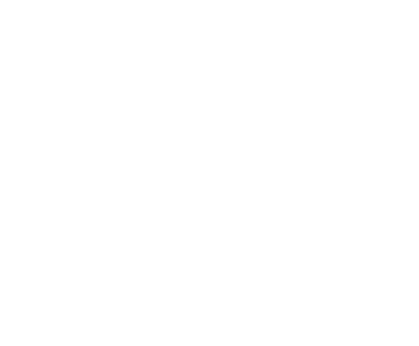 logo main